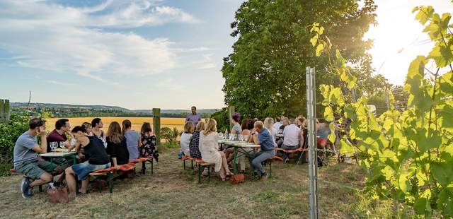 Weinberg Winzerrallye in der Saale-Unstrut-Region