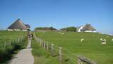 Blick auf die Hamburger Hallig