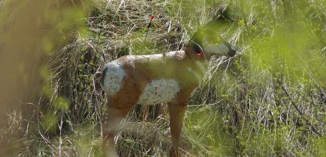 Bogenjagd 3D Bogenjagd 3D