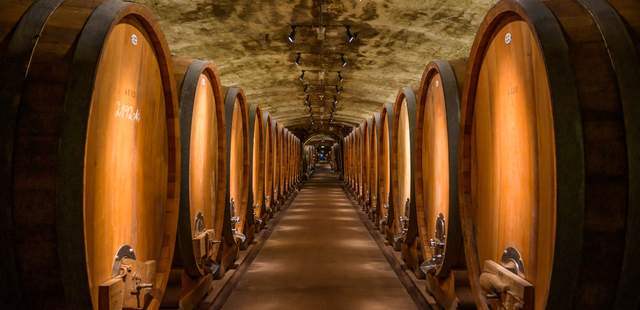 Weinfasskeller Wein & Winzer auf dem Weingut
