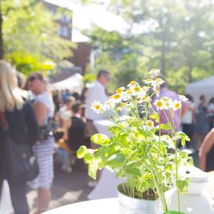 So stimmungsvoll kann auch Ihr "We are Family" Day aussehen So stimmungsvoll kann auch Ihr "We are Family" Day aussehen