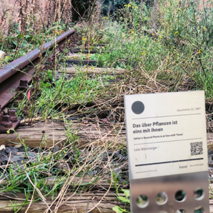 Stadtkrimi Auf den Super de Kunste Innenstadt Kassel Stadtralley Stadtführung Teamevent Betriebsausflug