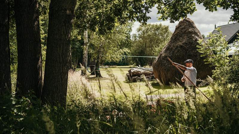 Klassiker Spreewald - Lehde