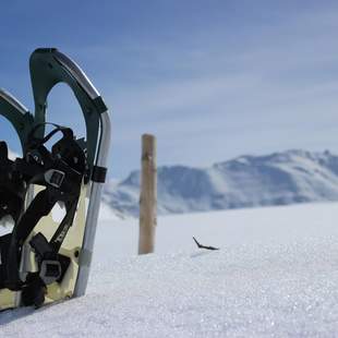 Team-Erlebnis im Schnee