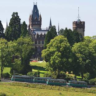 Geselliges Erlebnis im „Nizza am Rhein“