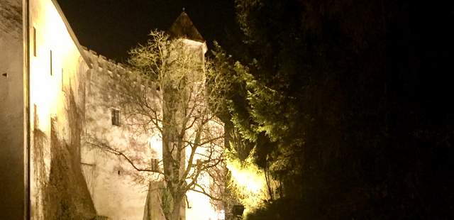 Grafenschloss zu Ortenburg Aussenansicht vom Ortenburger Grafenschloß