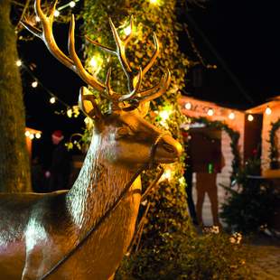 Weihnachtsmarkt Rentier Weihnachtsmarkt Rentier