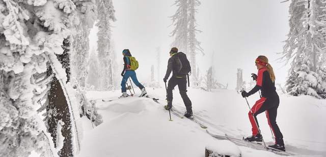 Schneeschuhwandern im Bayerischen Wald Schneeschuhwandern in Niederbayern