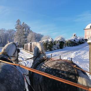 Kutschfahrt Moritzburg Weihnachtsfeier Moritzburg mit Kutschfahrt