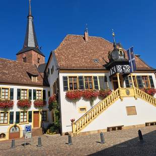 historisches Rathaus Stadtführung
