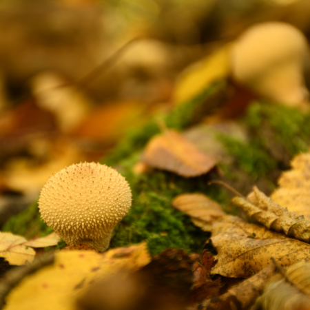 Entspannung in der Natur