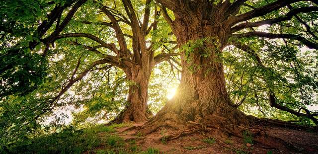 Natur-Aktiv Woche im Thüringer Wald Natur-Aktiv Woche im Thüringer Wald
