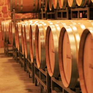 Weinkeller-Barrique -Fässer Wein- & Sektkellerführung
