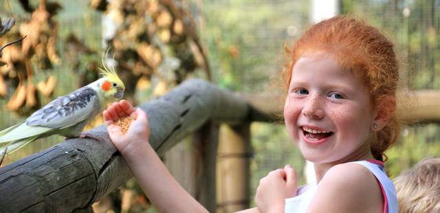 Outdoor-Erlebnistag Biggesee Outdoor-Erlebnistag Biggesee