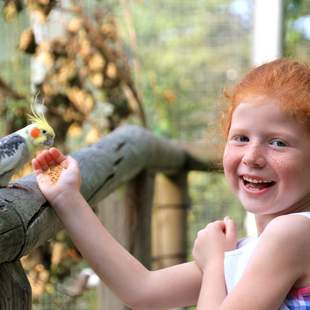 Outdoor-Erlebnistag Biggesee Outdoor-Erlebnistag Biggesee