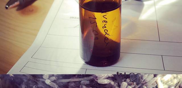 Destillationskurs Ätherische Öle