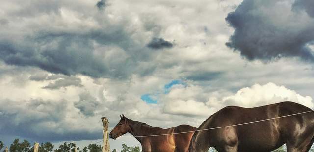 Weites Land Auszeit im Grünen
