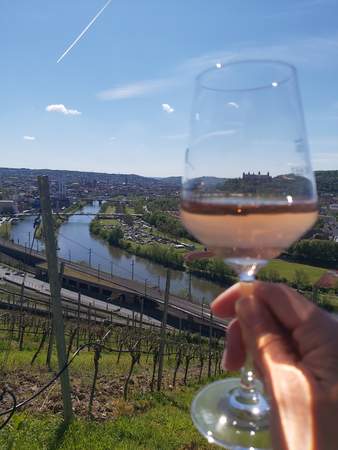 Weinbergwanderung: Weinwanderung Würzburg