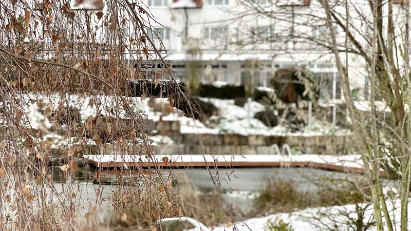 Naturbadeteich im Winter