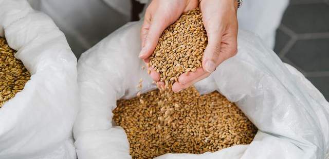 Malz Bierbrauen als Teamevent