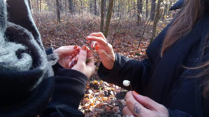 Achtsamkeit im Wald