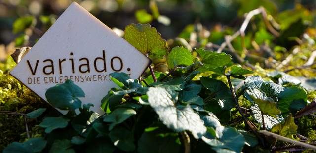 variado e.G. variado e.G.