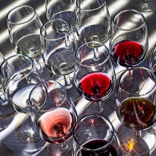 Stadtführung: mit der Tram durch München Stadtführung: mit der Tram durch München