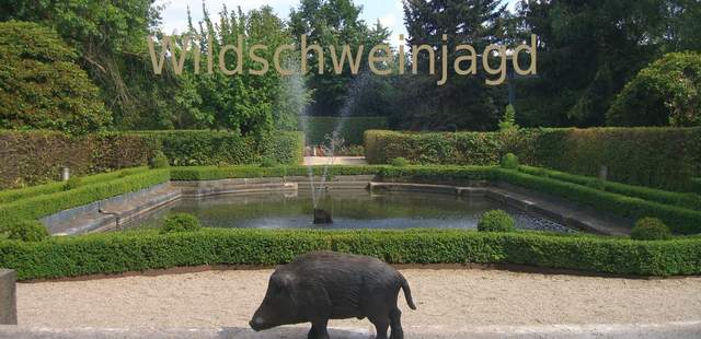 Wildschweinjagd Wildschweinjagd - Tagespaket