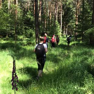 Waldbaden, Natur, Erholung