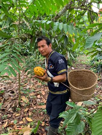 Besuch im Anbaugebiet im Amazonas