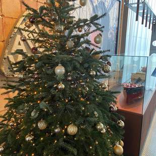 Weihnachten feiern – im INNSiDE Bremen Style Weihnachten feiern – im INNSiDE Bremen Style