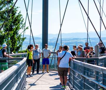 Waldwelt Allgäu Betriebsausfluf auf dem Baumwipfelpfad Betriebsauflug am Baumwipfelpfad Allgäu