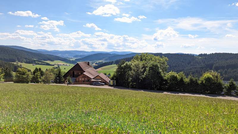 SCHWARZWALD-Seminarpauschale mit Übernachtung