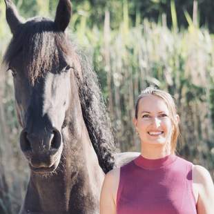 Pferdegestützte Teamevents - Teambuilding mit Kommunikationsworkshop Teambuilding mit Pferden