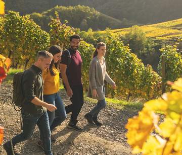 Wanderung und Weingenuss Ahrtal Die kleine Genuss und Wanderregion