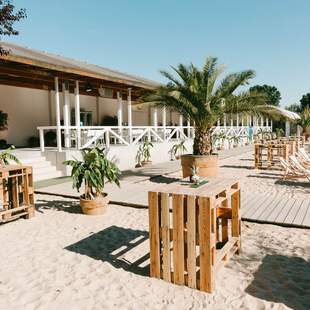 Sommerfest Sommerfest Rhein Main