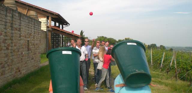 Pfälzer Weinpfade Winzer Olympiade Weinberg