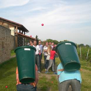 Winzer Olympiade Weinberg