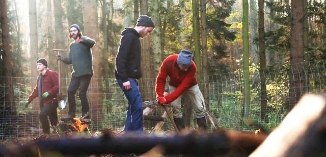 DeinWaldprojekt Dein Waldprojekt