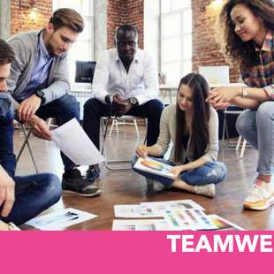 Teamwerkstatt Teambuilding Führungswerkstatt/Teamwerkstatt